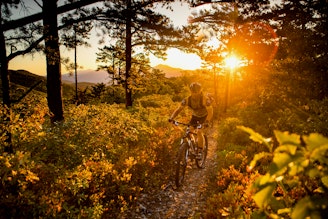 Dody-Ridge-Roanoke-Mountain-Bike-Sam Dean Photography Visit VBR.jpeg